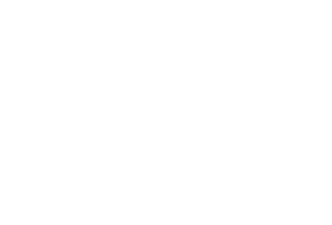 Peninsula Plastic Surgery White Logo